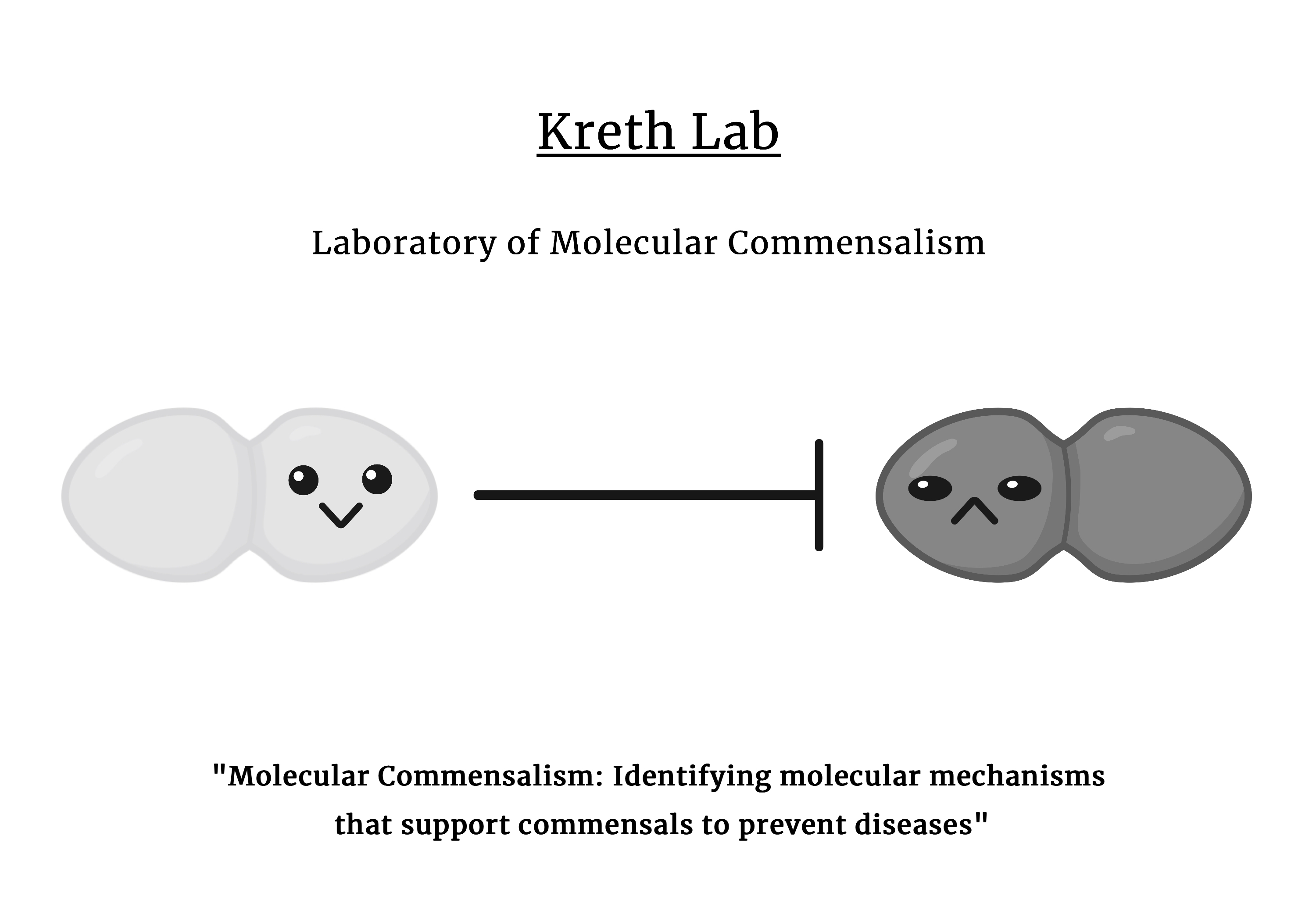 Simple graphic showing Molecular Commensalism. Identifying molecular mechanisms that support commensals to prevent diseases.