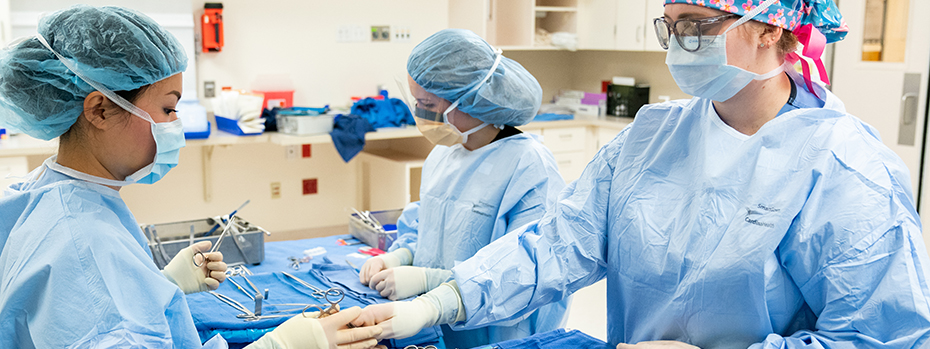 3 nurses in surgical scrubs, caps and masks prep trays with forceps, scissors and other surgical tools.