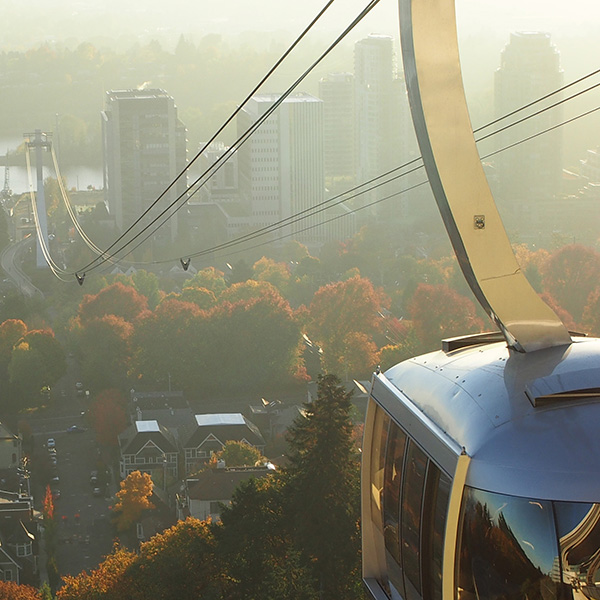 Aerial Tram rises over golden fog