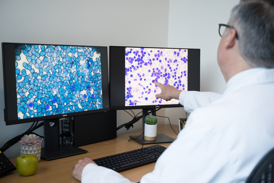 Dr. Hayes-Lattin analyzes images of cancer cells.