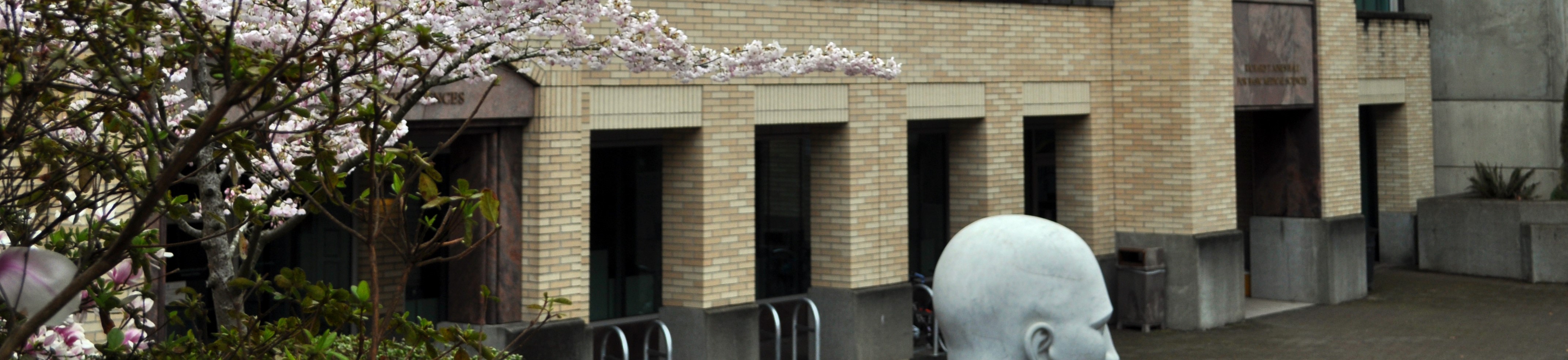 exterior RJH building with a blooming cherry tree and top of big head statute.