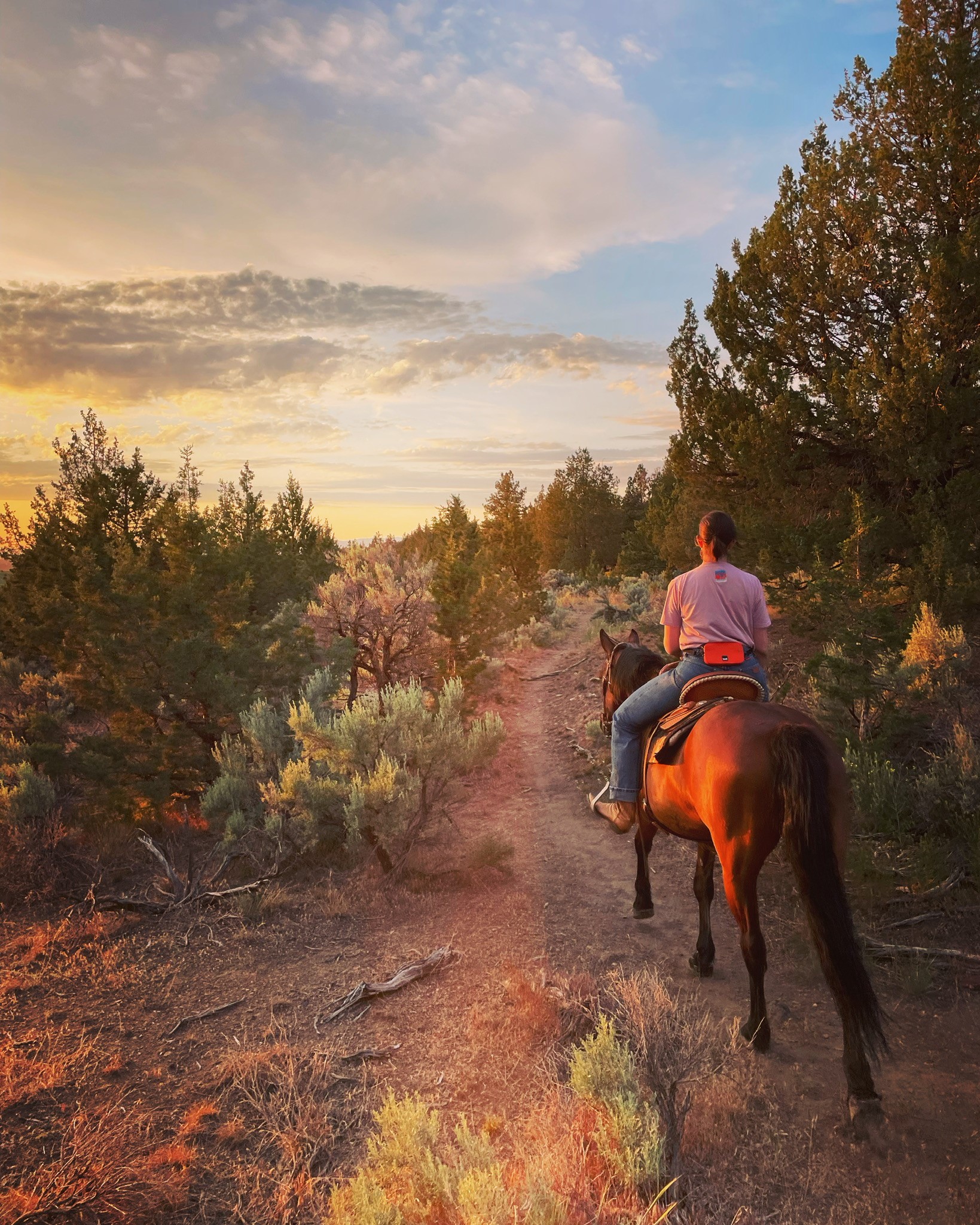 Madras trails, featuring person riding a horse, facing away from the camera, riding into the sunset. 