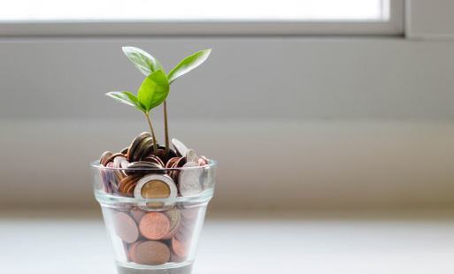 Financial Resources - Stock photo of a seedling in a glass of coins