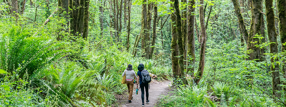 Two nursing students walk in a forest with their backs to the camera.