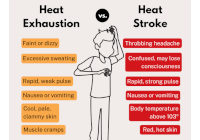 Heat exhaustion and Heat stroke signs