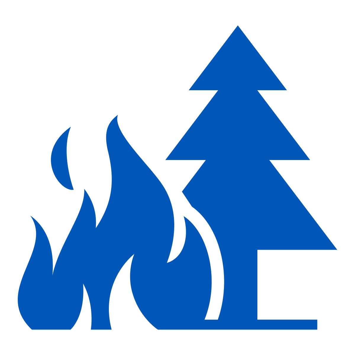 Wildfire icon for Emergency Preparedness