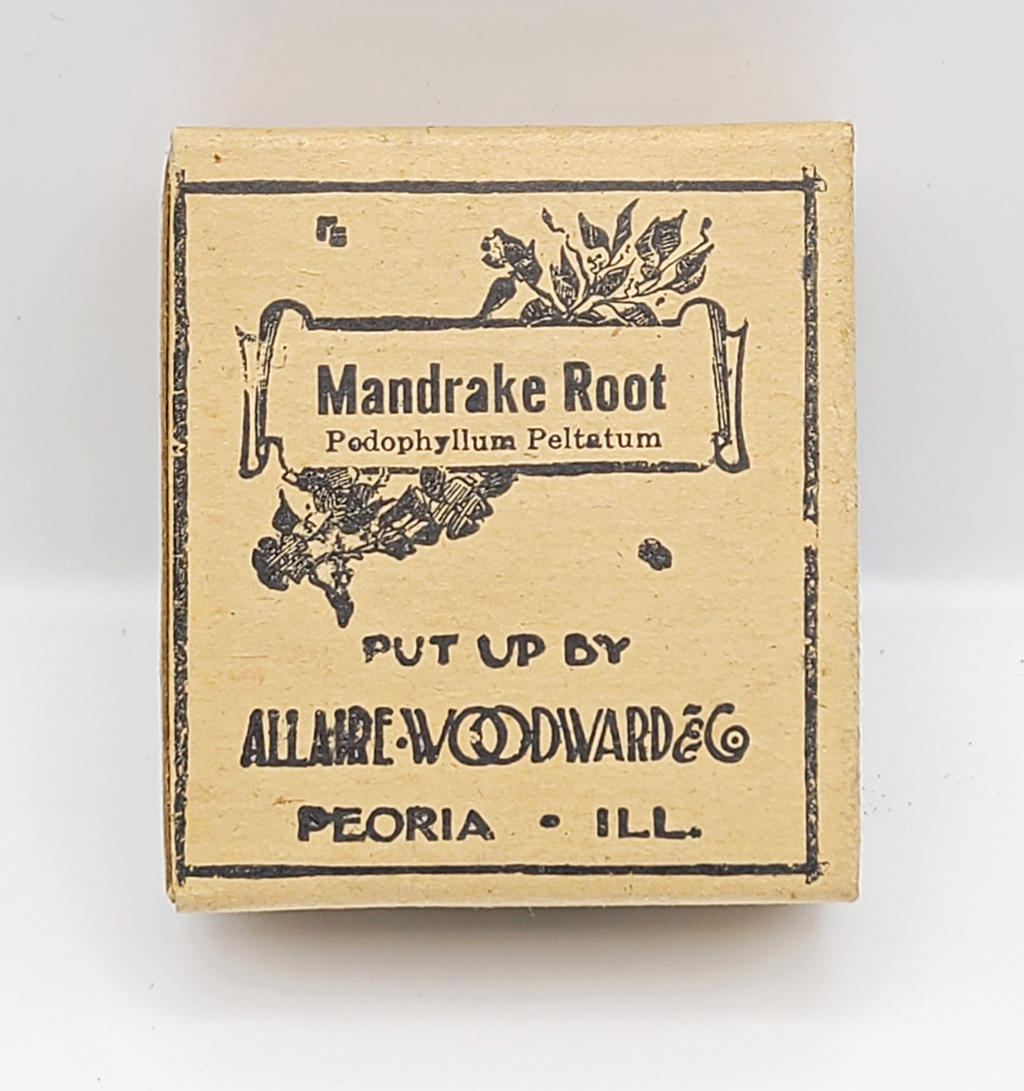 Ivory box displays label for "Mandrake Root"