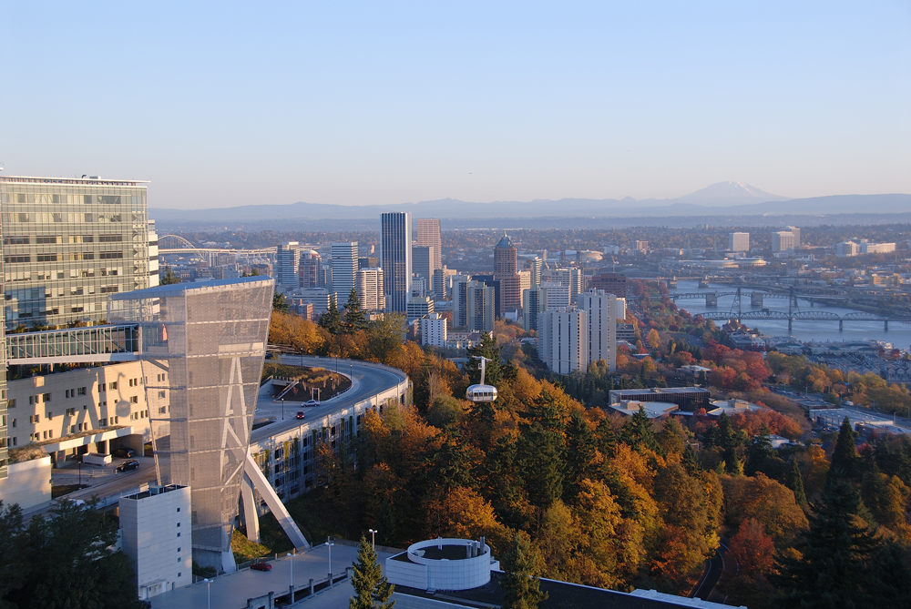 tram-portland view