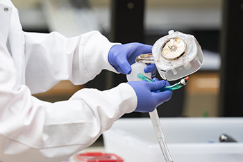 A biomedical engineering researcher wearing gloves holds part of an ECMO device.
