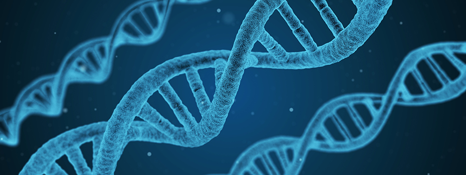 Closeup of three DNA strands.