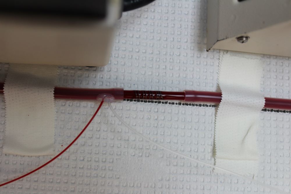 Metallic wire coil being tested with flowing whole blood