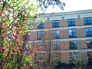 The Portland School of Nursing building, framed with flower buds.