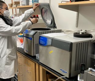 Person operating the refrigerated centrifugal concentrator