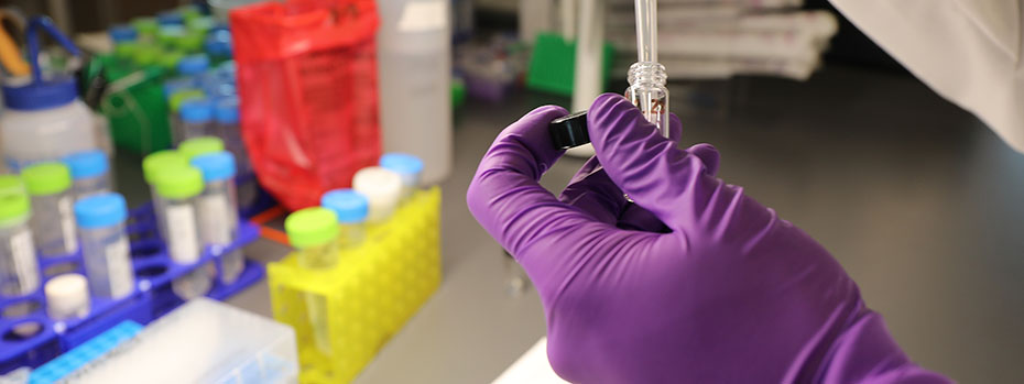 A hand wearing a purple latex glove holds a vial that is being filled with a substance from a dropper. Other vials are on a lab table in the background.