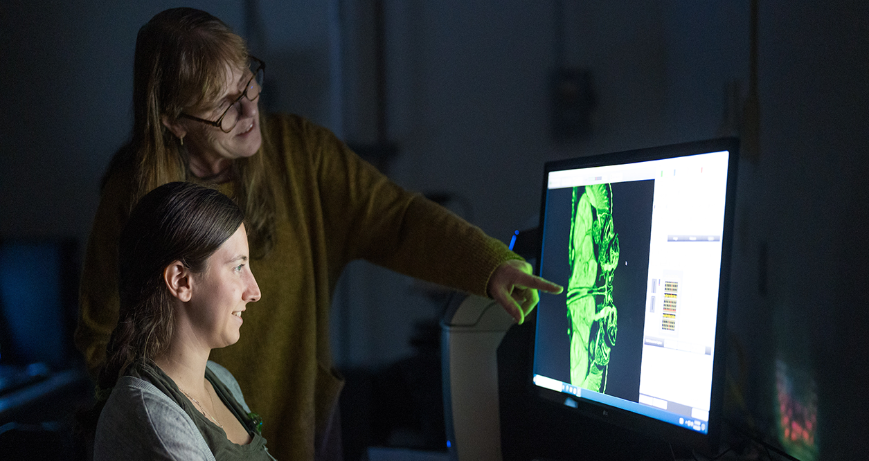 OccHealthSci faculty member Dr. Doris Kretzschmar uses Drosophila in the lab to study diseases that lead to progressive degeneration of the adult nervous system.