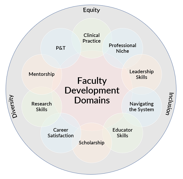 Domains of faculty development: Clinical practice, professional niche, leadership skills, navigating the system, educator skills, scholarship, career satisfaction, research skills, mentorship, and promotion and tenure, each of which have DEI considerations