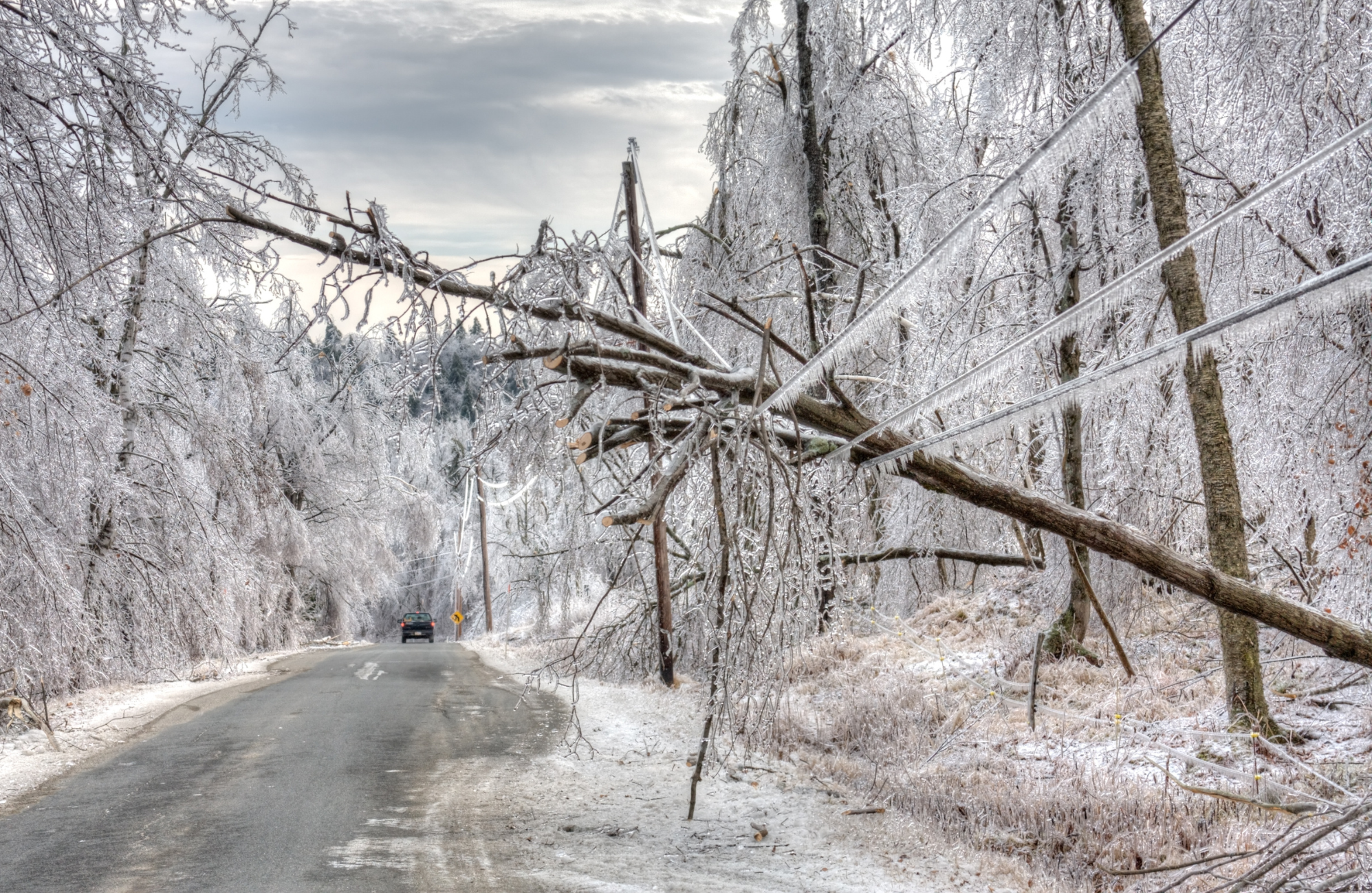A winter storm knocked a tree down into a power line which hangs over an icy road