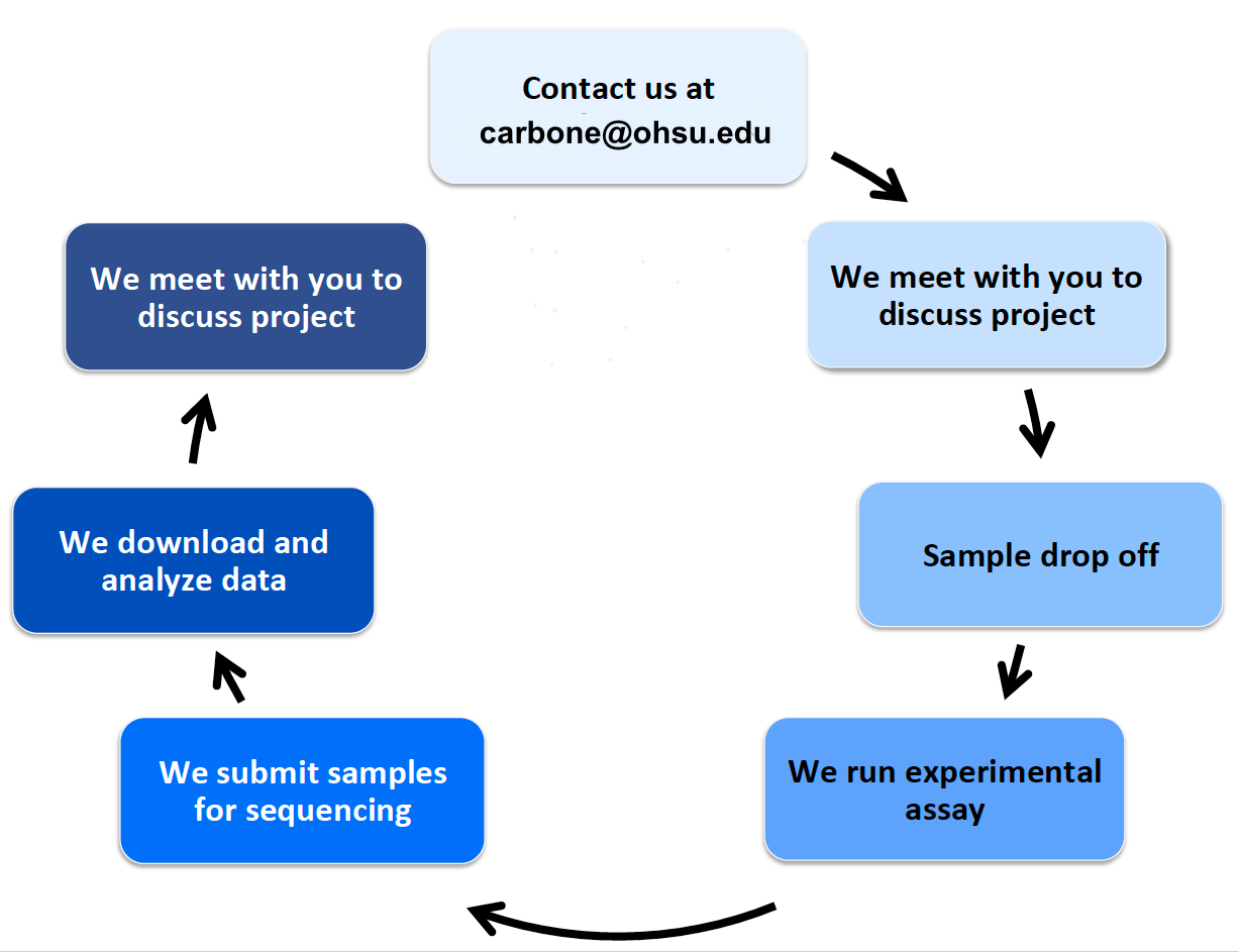 Lifecycle of a Project