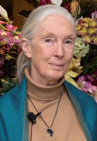 Jane Goodall, 2015