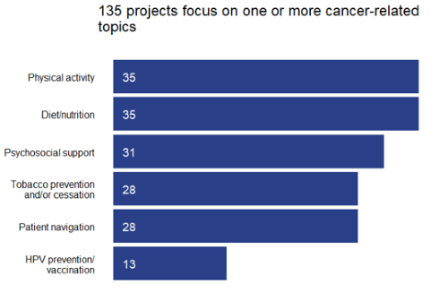 Graph showing that of the funded projects, 135 focus on one or more cancer-related topics.