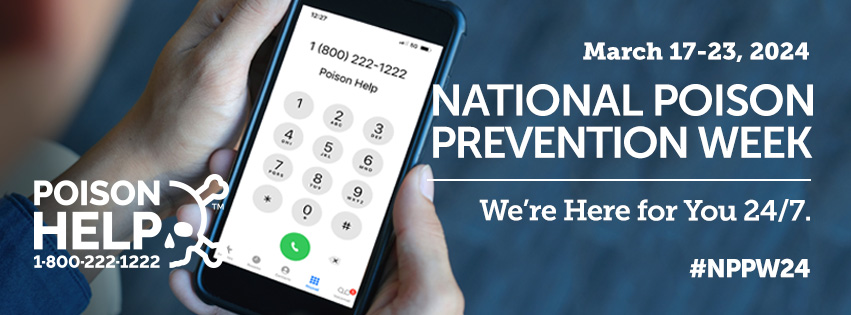 A hand hods a smartphone showing the Poison Help hotline: 1-800-222-1222.