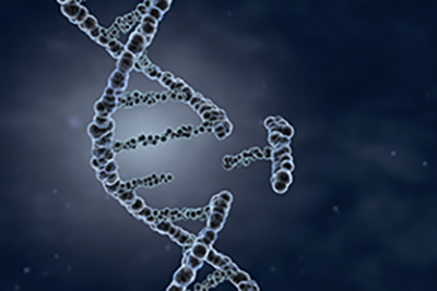 Illustration of a broken DNA strand.