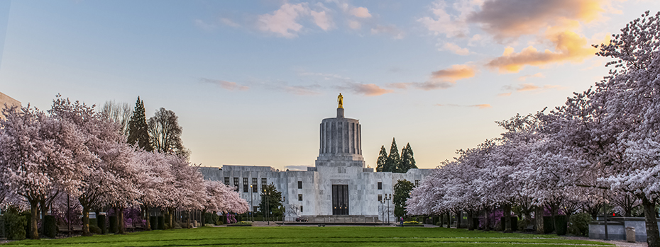 The lawn of the Capitol building in Salem, Oregon, is flanked by blooming cherry trees.
