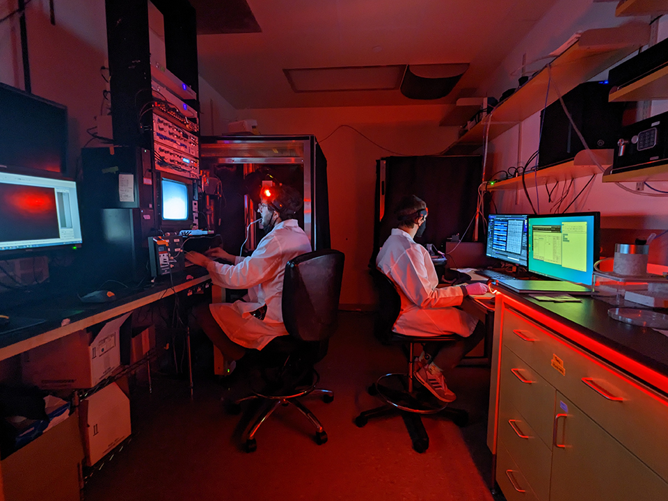 Two scientists sit back to back working at long benches. The lights are off and they are working with a red lamp.
