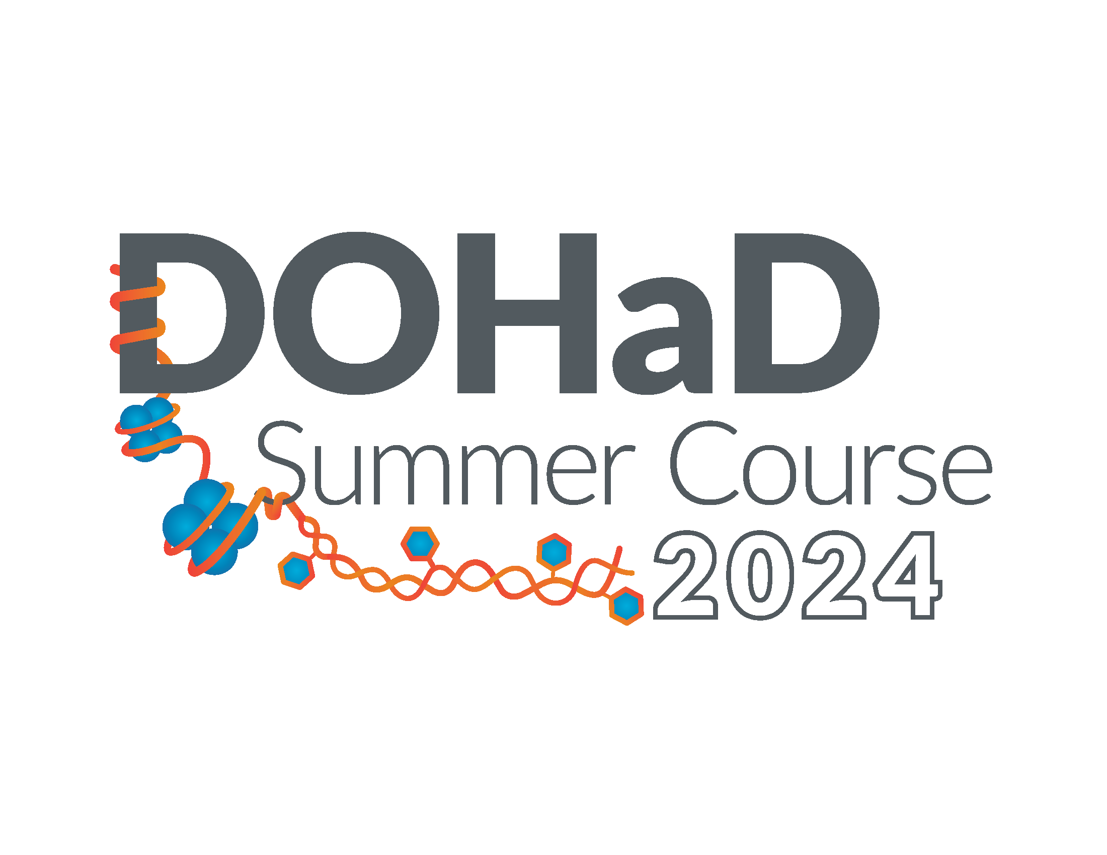 DOHaD Summer Course Graphic 2024