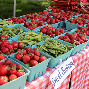 Teal containers filled with strawberries and snap peas sit on a table at a farmers market. A sign says “Sweet Sunrise.”