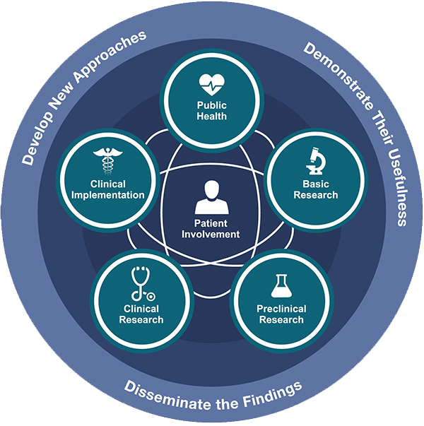 NCATS visualization of the translational science spectrum. All the components are overlapping and interwoven. They are not separate or linear.