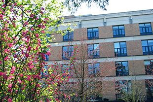 The Portland School of Nursing building, framed with flower buds.