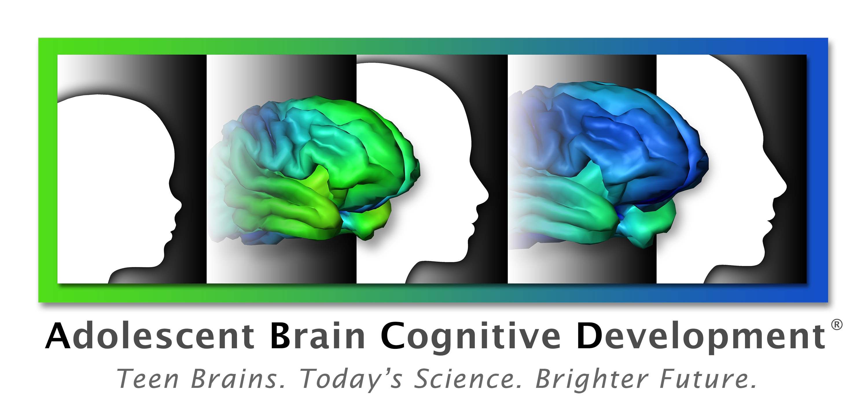 Research Programs