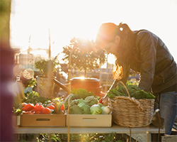 Person tending to an outdoor garden at sunset, with fresh vegetables and produce in baskets.