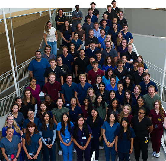 The DMD Class of 2029