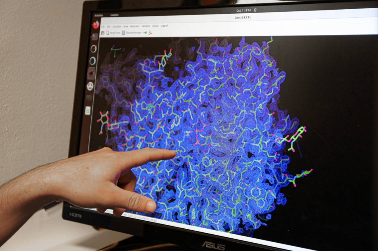 Two new studies from the lab of Steven E. Mansoor, M.D., Ph.D., uncover how different P2X receptors work and provide key blueprints to developing drugs that block inflammation. 