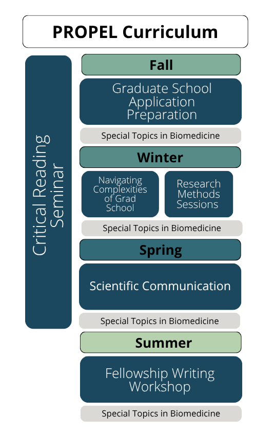 Outline of PROPEL Curriculum