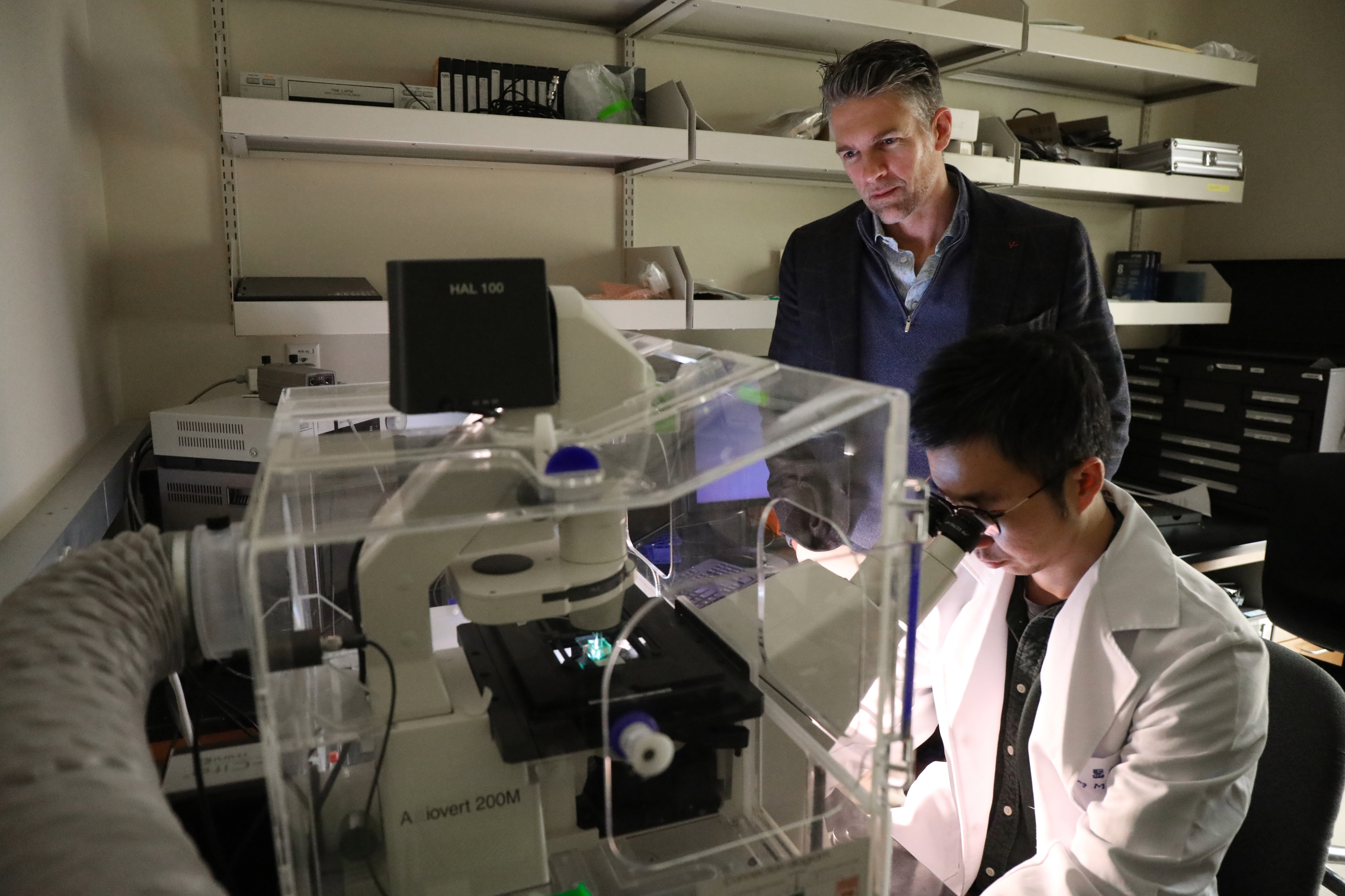 Owen McCarty blood vessel chip