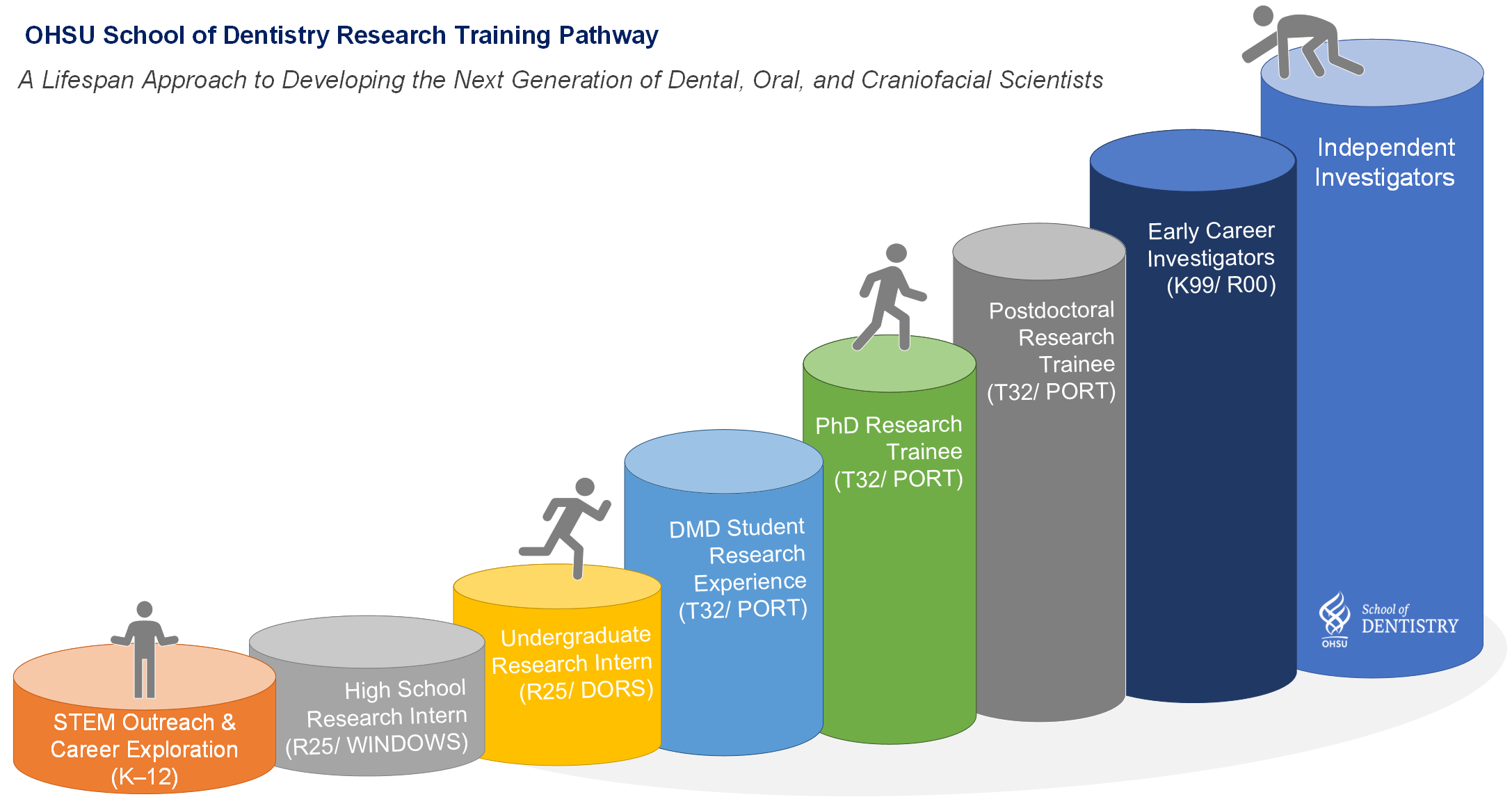 Text reads A lifespan approach to developing the next generation of Dental, Oral and Craniofacial Scientists. The graphic below is of 8 cylindrical pillars in increasing height representing the steps from high school STEM programs to Undergradute and pre/post doctoral programs to the last step of Independent Investigator. 