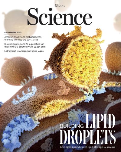 Image of Science Cover with Adipogenin article highlighted