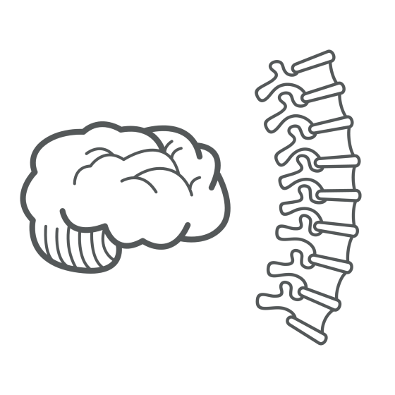 Neuroradiology Fellowship