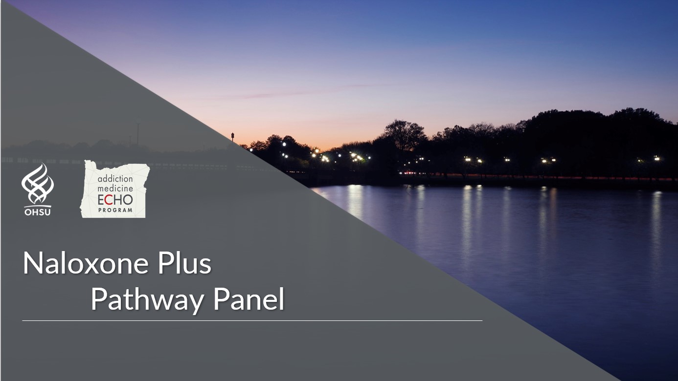 Cover photo of Deflection ECHO, session 2 "Naloxone Plus Pathway Panel"