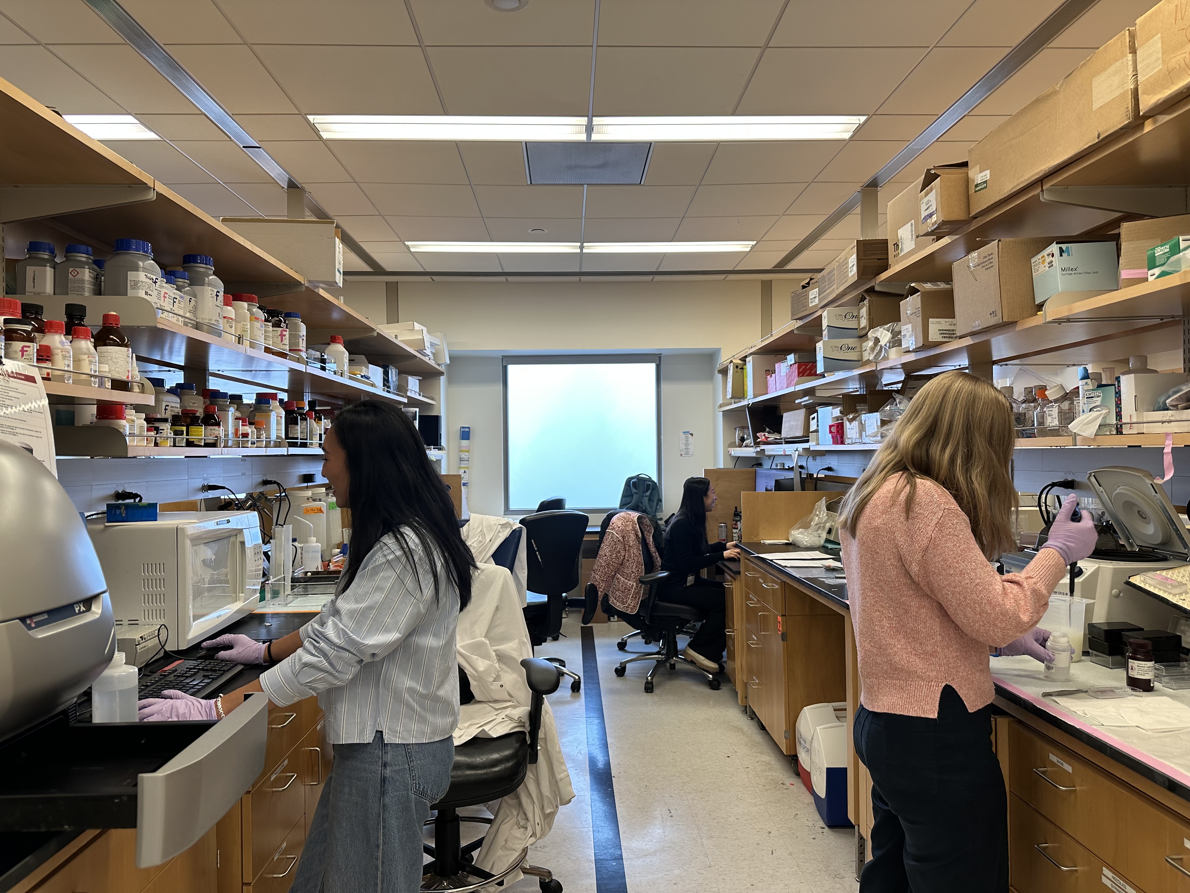 Avasare team working in the lab