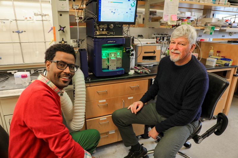 OHSU scientists Fikadu Tafesse, Ph.D., and Carsten Schultz, Ph.D.