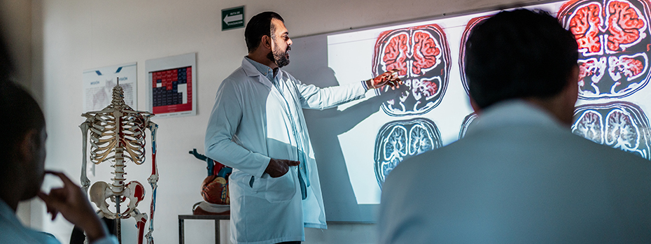 A senior doctor leads a presentation to colleagues about the brain.