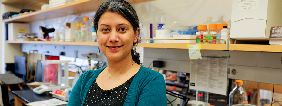 nusha Mishra, Ph.D., associate professor in the Department of Neurology, stands at her lab space and smiles at the camera. Behind her are shelves with tubes and notes for her current research. 