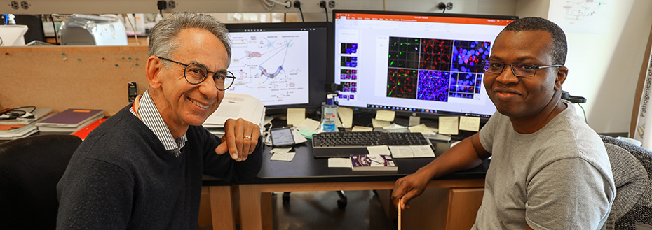 Dr. Back and Dr. Adeniyi sit in front of a computer screen in the laboratory. The screen shows a diagram and microscopy images of brain cells.