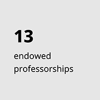 13 endowed professorships