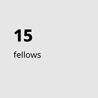 15 fellows