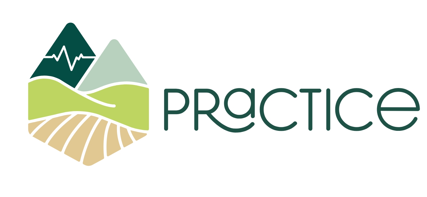 PRaCTICe logo image 